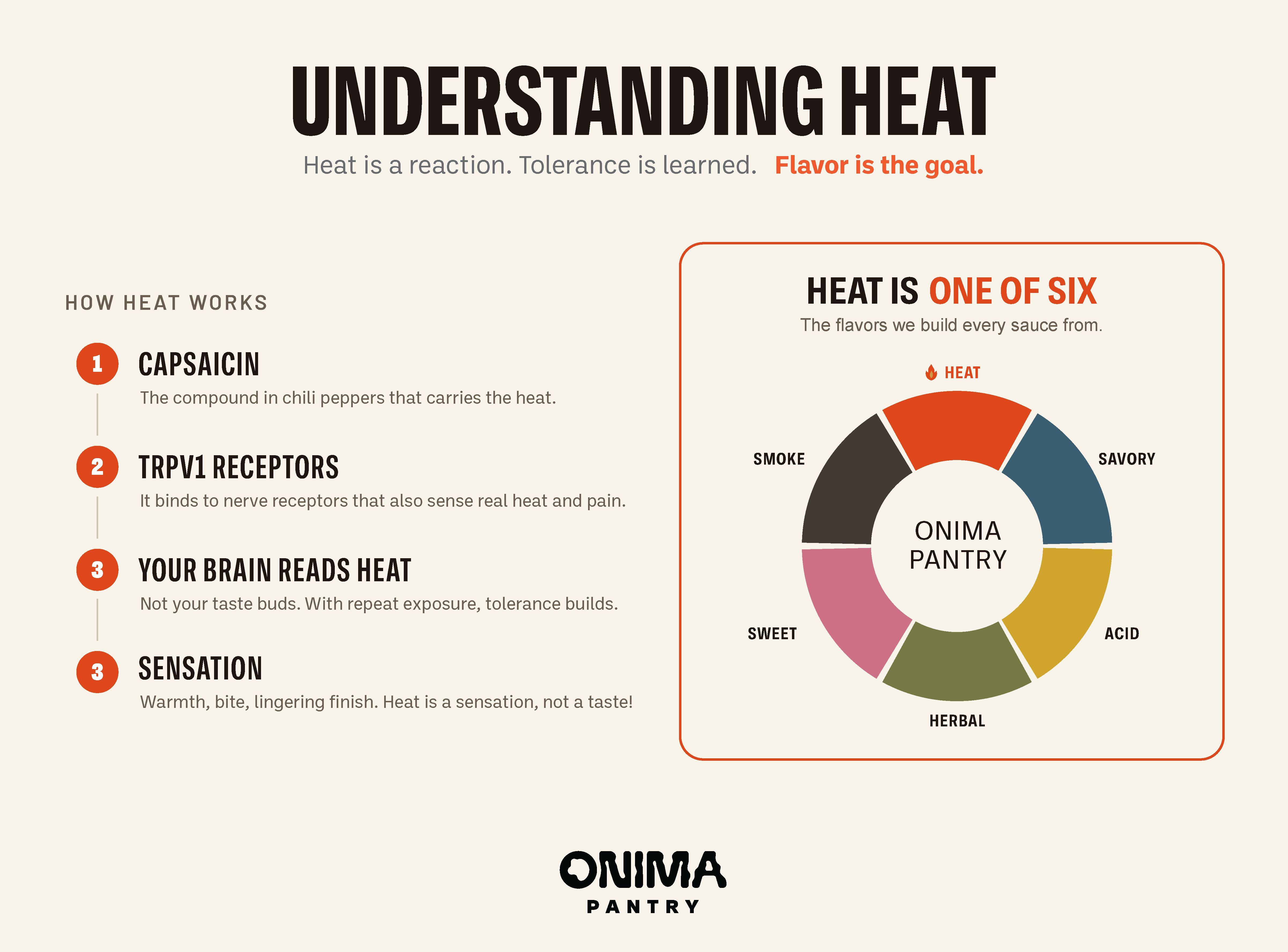 understanding heat infographic showing how heat works and the six sensations we design our hot sauce around